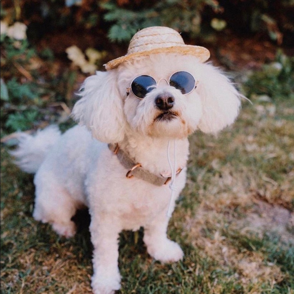 Small Pet Sun Hat